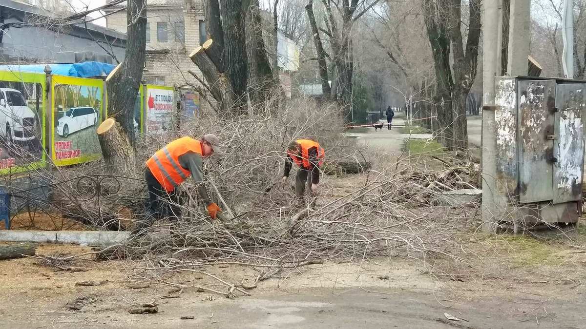 Коммунальщики собирают уже обрезанные ветки деревьев