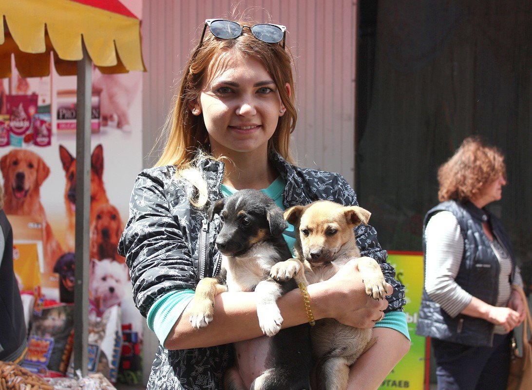 Волонтеры Никополя заботятся о бездомных животных 