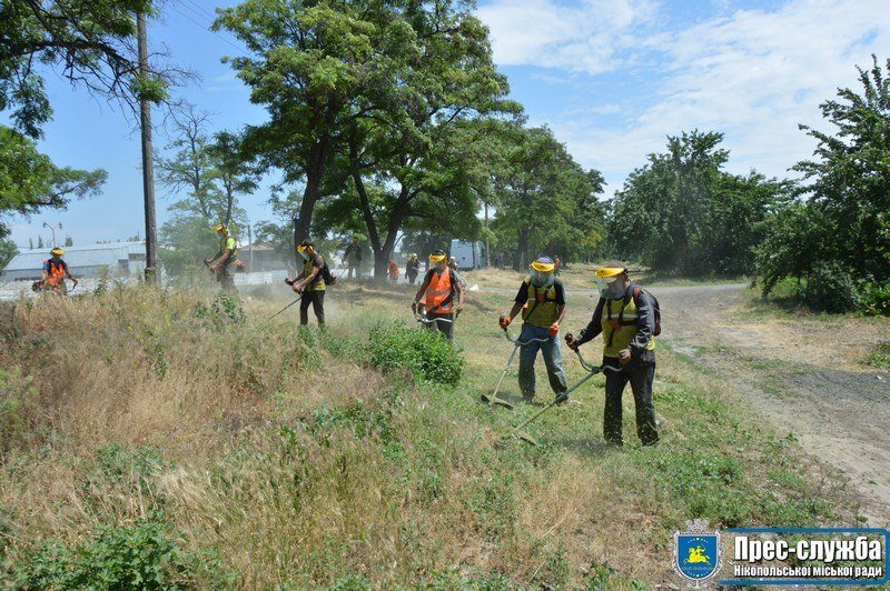 В Никополе 3,5 миллиона квадратов городской территории очистят от сорняков