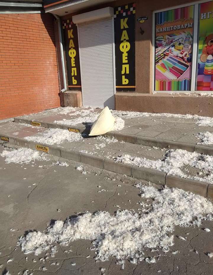 В Никополе выпал снег из "перьев"