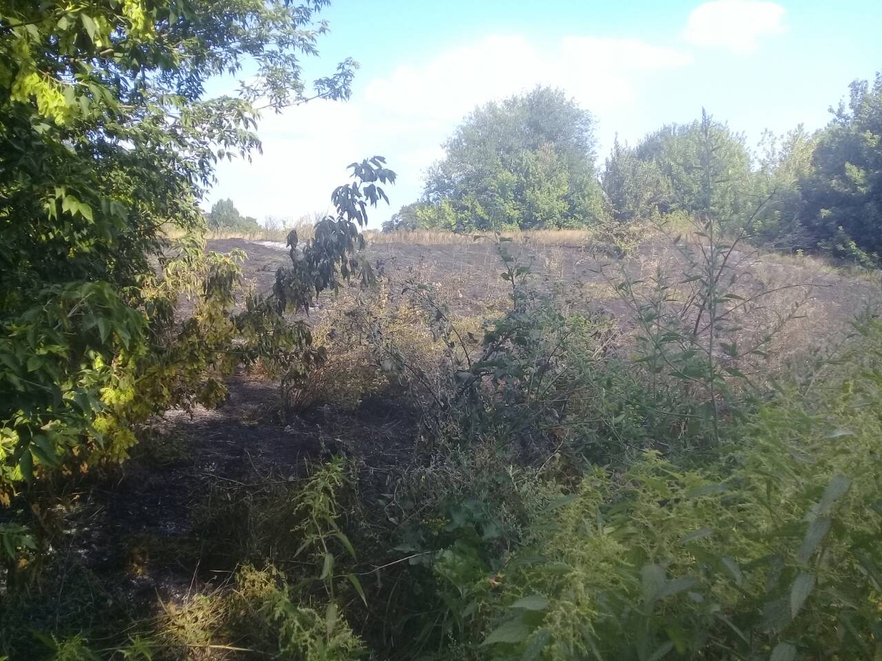 За последние сутки произошло два случая возгорание сухой травы на открытой территории в Покровском районе