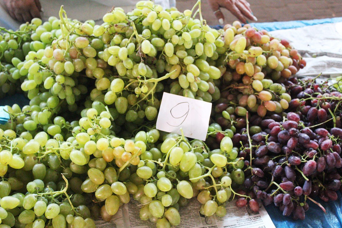 Для продавцов цена на виноград в этом году оставляет желать лучшего 