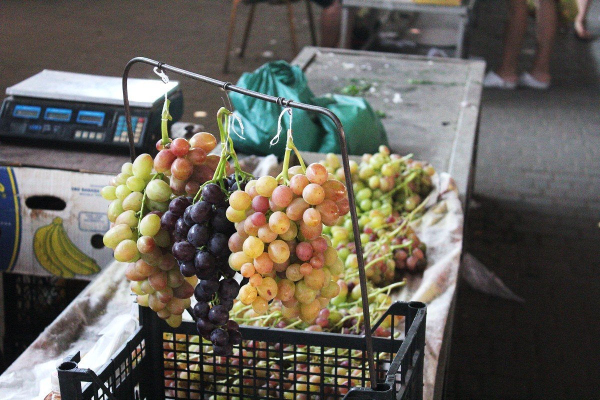 В Никополе сезон винограда 