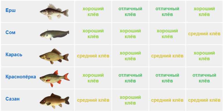 Топ Клев Интернет Магазин