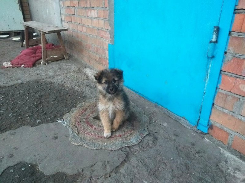Подарите любовь и тепло