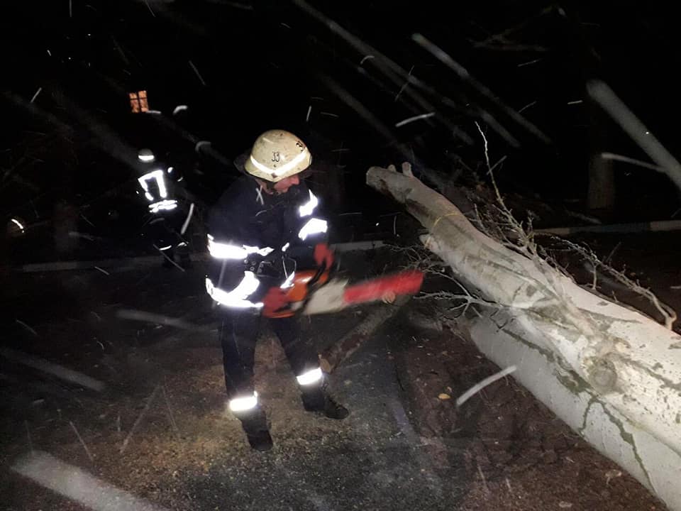 Спасатели убрали дерево и освободили автомобиль