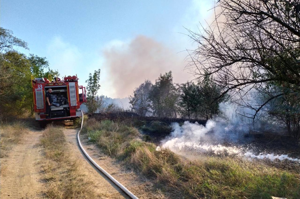 Пожарные спасли урочище лесхоза от возгорания 