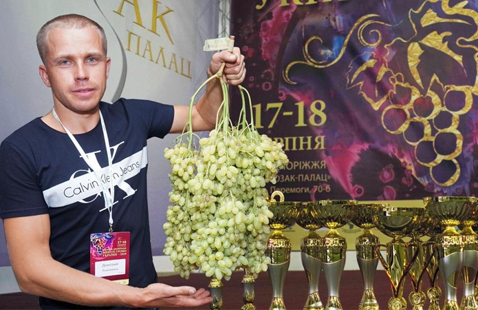 31-летний Дмитрий Ткаченко из Покрова вырастил самую большую гроздь винограда в Украине