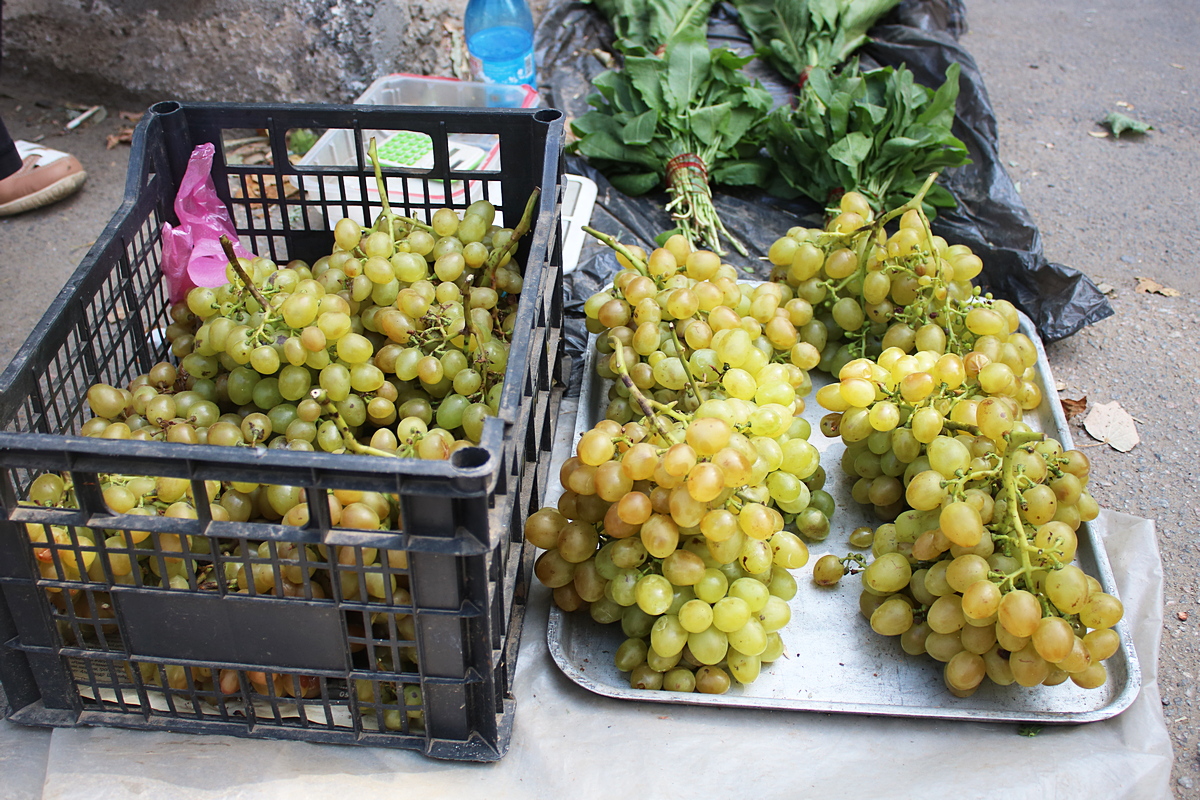 Виноград по 12 гривен за килограмм 