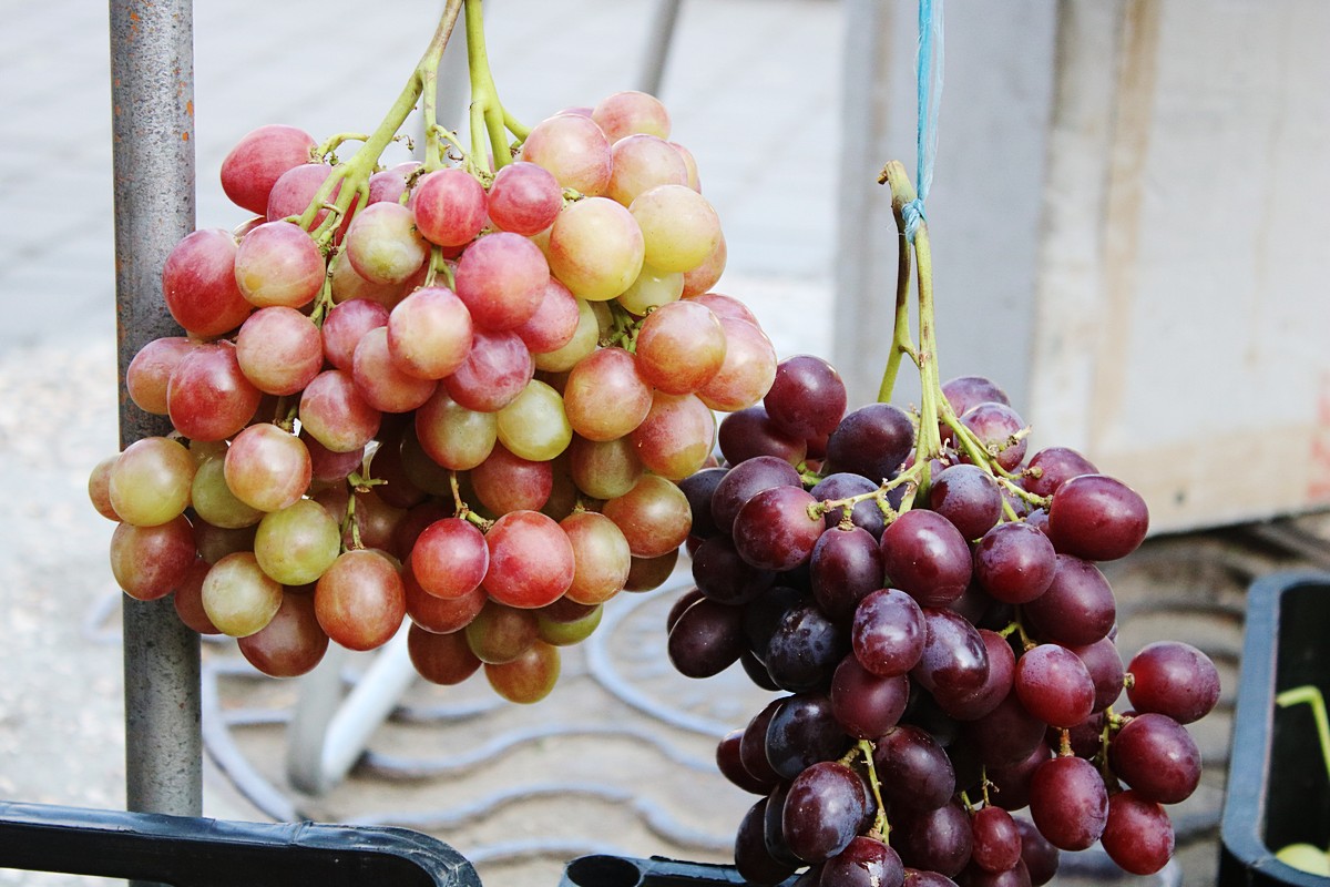 Для здоровья необходимо 300 грамм винограда 