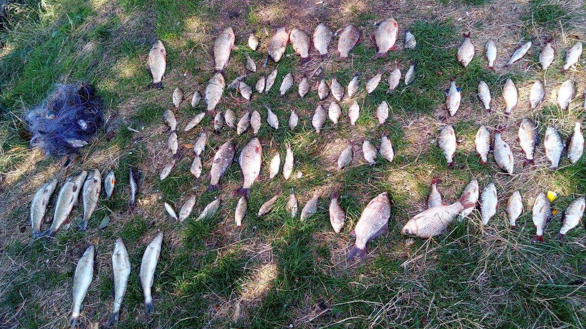 В Червоногригоровке браконьер поймал сетями рыбы почти на 7 000 гривен 