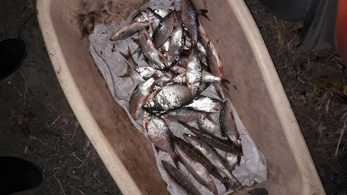 Ущерб, нанесенный рыбным запасам, составил 5695 гривен