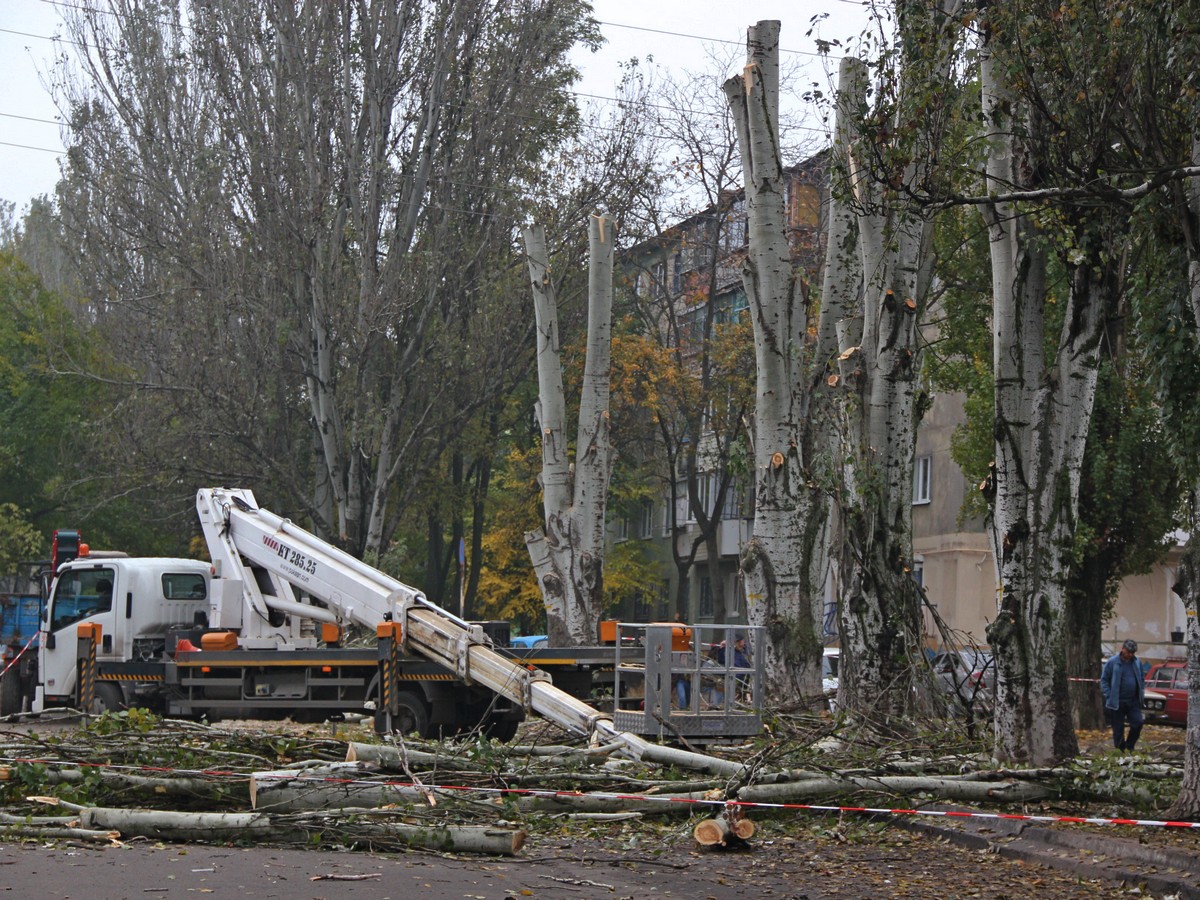 В Никополе возле Селянского рынка сносят деревья