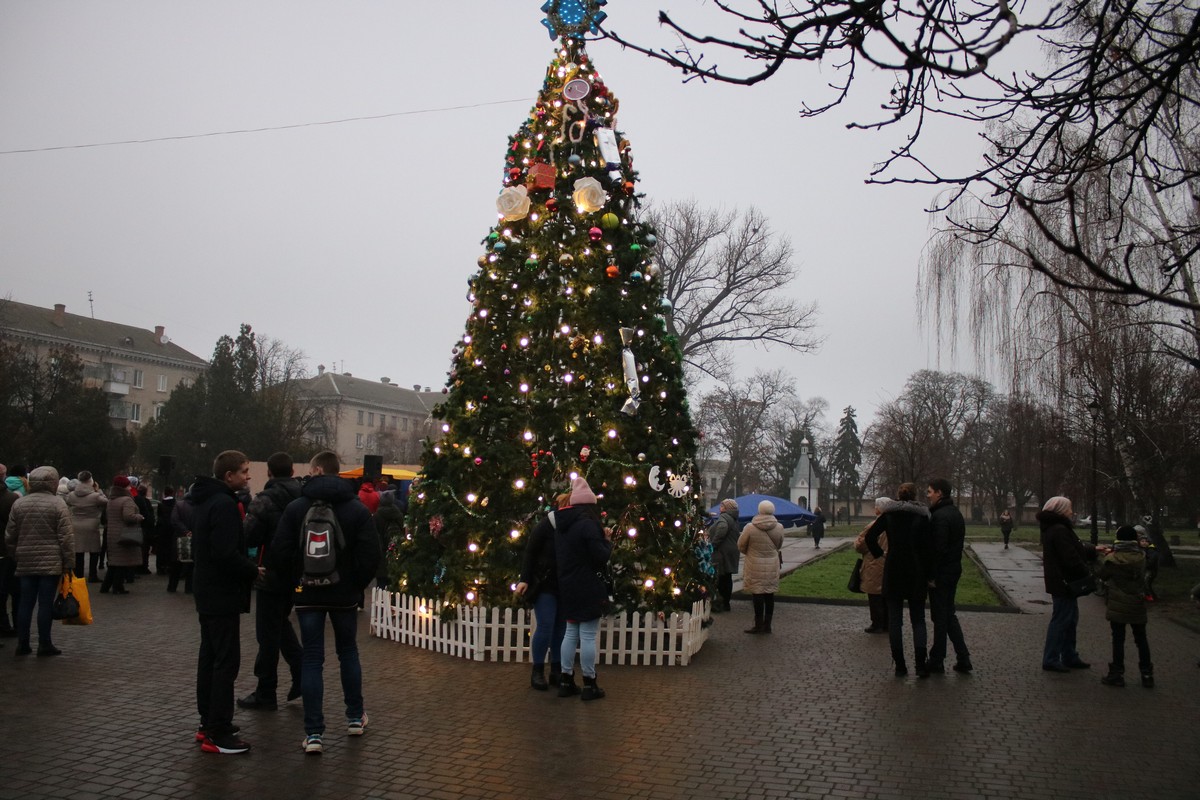 В сквере старой части Никополя открыли новогоднюю елку 