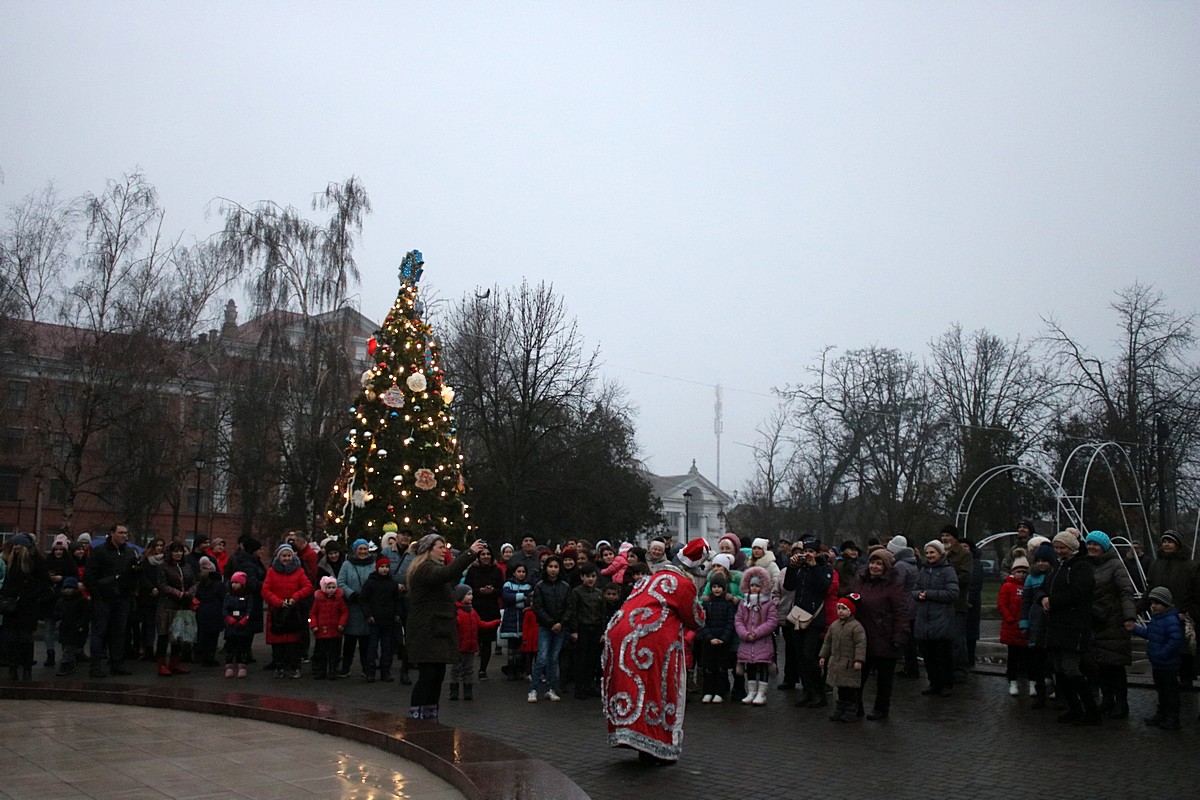 В сквере старой части Никополя открыли новогоднюю елку 
