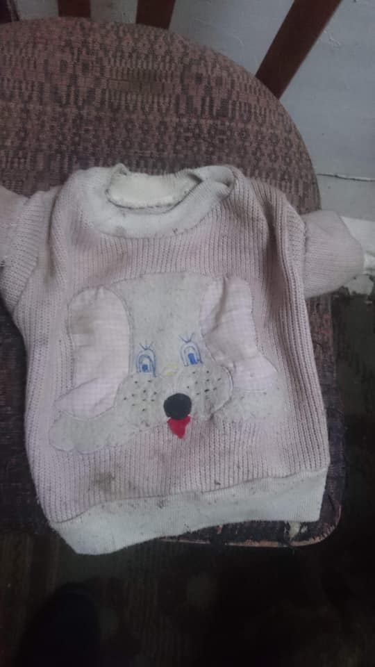 На собаку был одет свитер