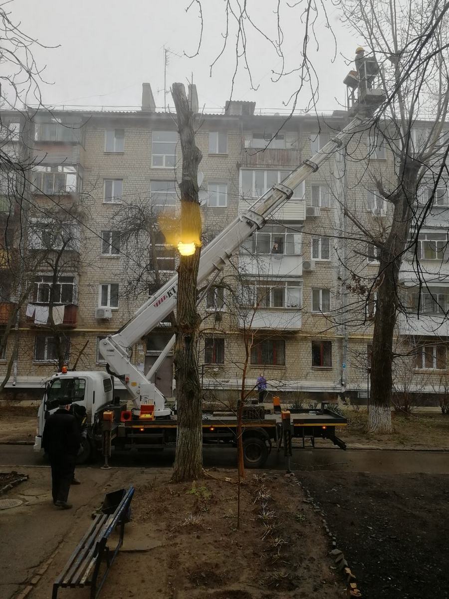 20 февраля работники КП "Горавтодор-1" спасли животное