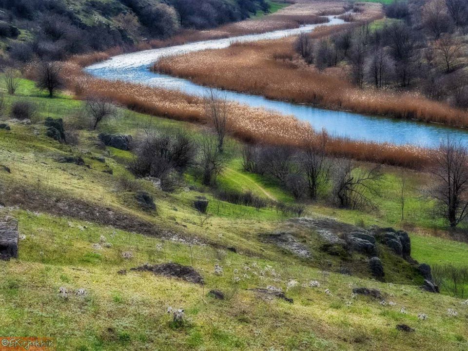 На склоне реки Базавлук расцвела сон-трава