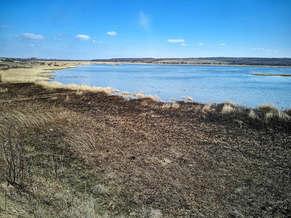 Камыш поджигают вдоль рек Базавлук и Соленой