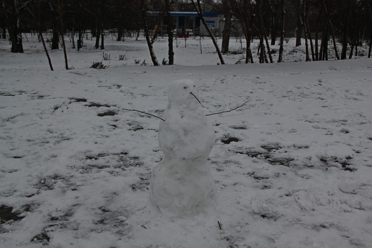 Одинокий снеговик