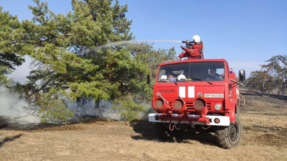 Лесной пожар в Энергодаре тушили 65 спасателей 