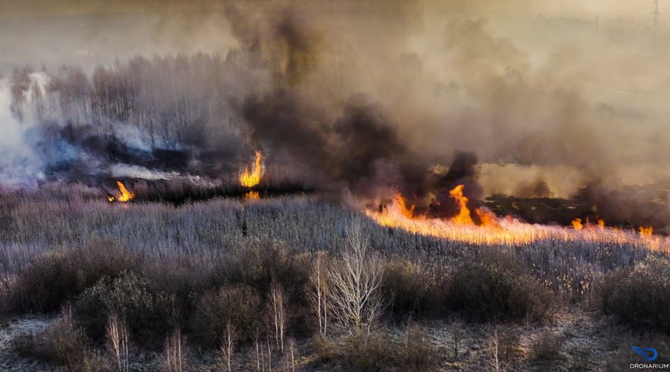 Огонь пришел в Зону со стороны Житомирской области