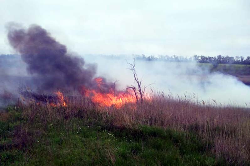 Пожар в экосистеме возле Никополя тушили пять часов