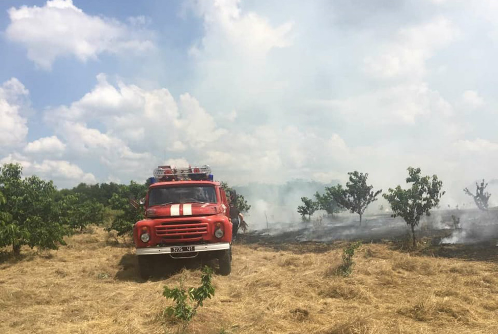 В Томаковском районе ликвидировали масштабный пожар в экосистеме