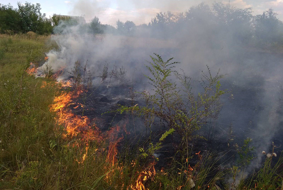 За сутки в Днепропетровской области случилось 68 пожаров в экосистемах