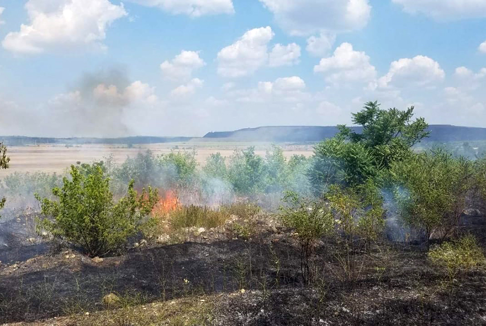За сутки в Днепропетровской области случилось 68 пожаров в экосистемах