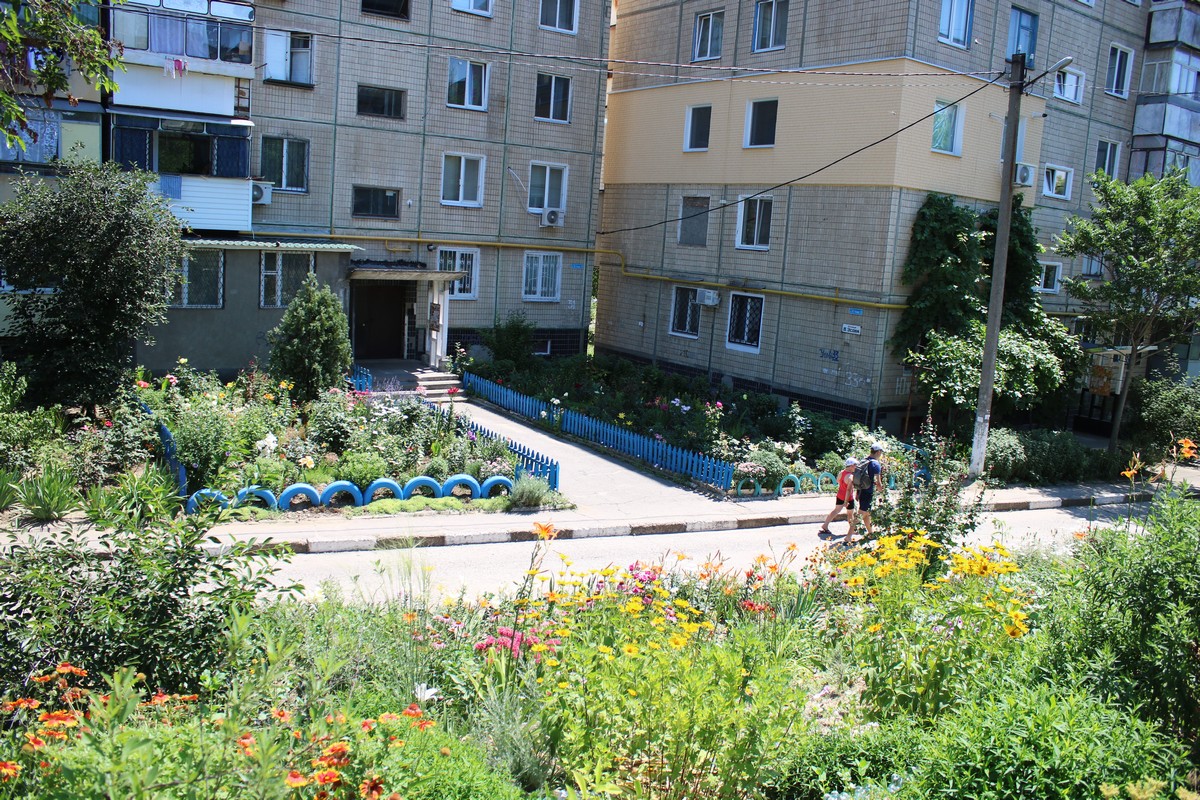 Цветущий двор по улице Виктора Усова