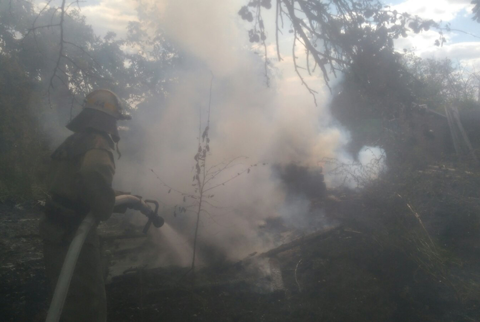 Под Никополем спасатели тушили три пожара в экосистеме 