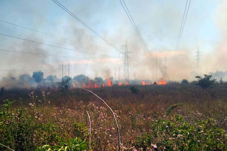 В Никополе на поле возле ЛЭП три часа тушили пожар 