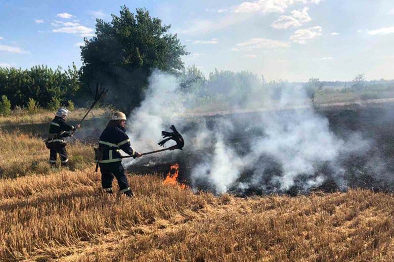 В Днепропетровской области горят поля 