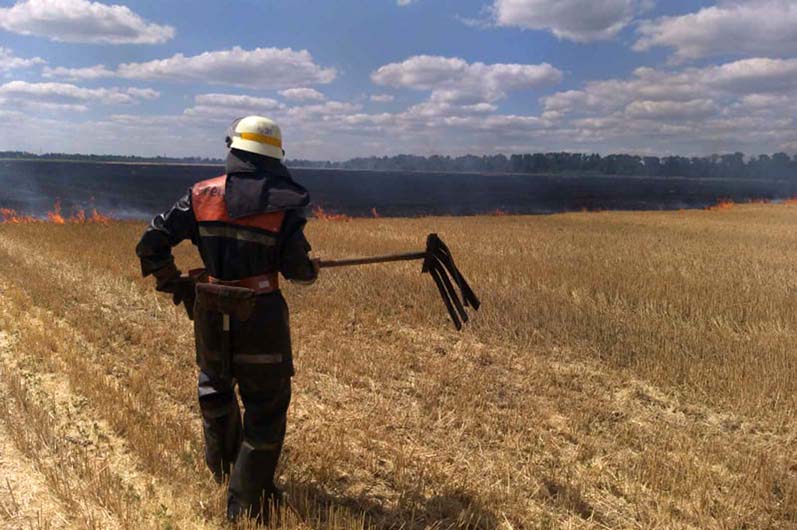 В Днепропетровской области горят поля 
