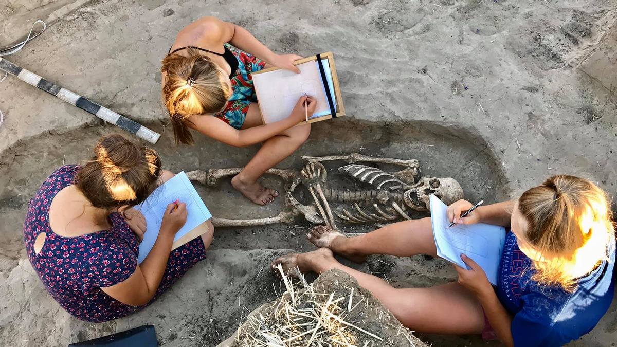 Работают археологи-студенты