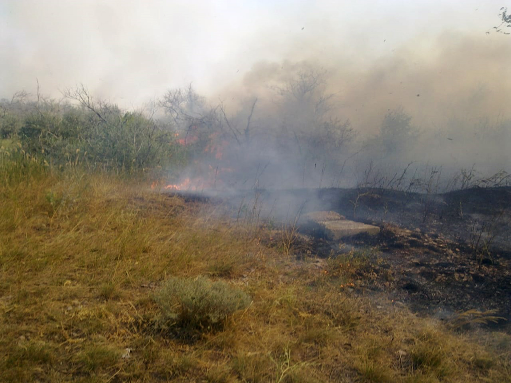 В Томаковском районе шесть спасателей боролись со степным пожаром 
