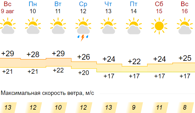 Погода мыски. Погода ковров на неделю 7. Погода на завтра Мыски. Погода в Мысках на неделю. Погода в Сысерти на неделю.