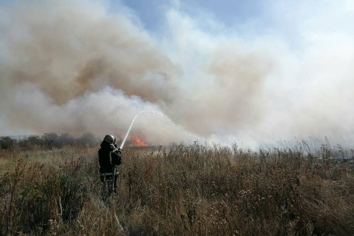 Возле Никополе выгорело 2 гектара травы