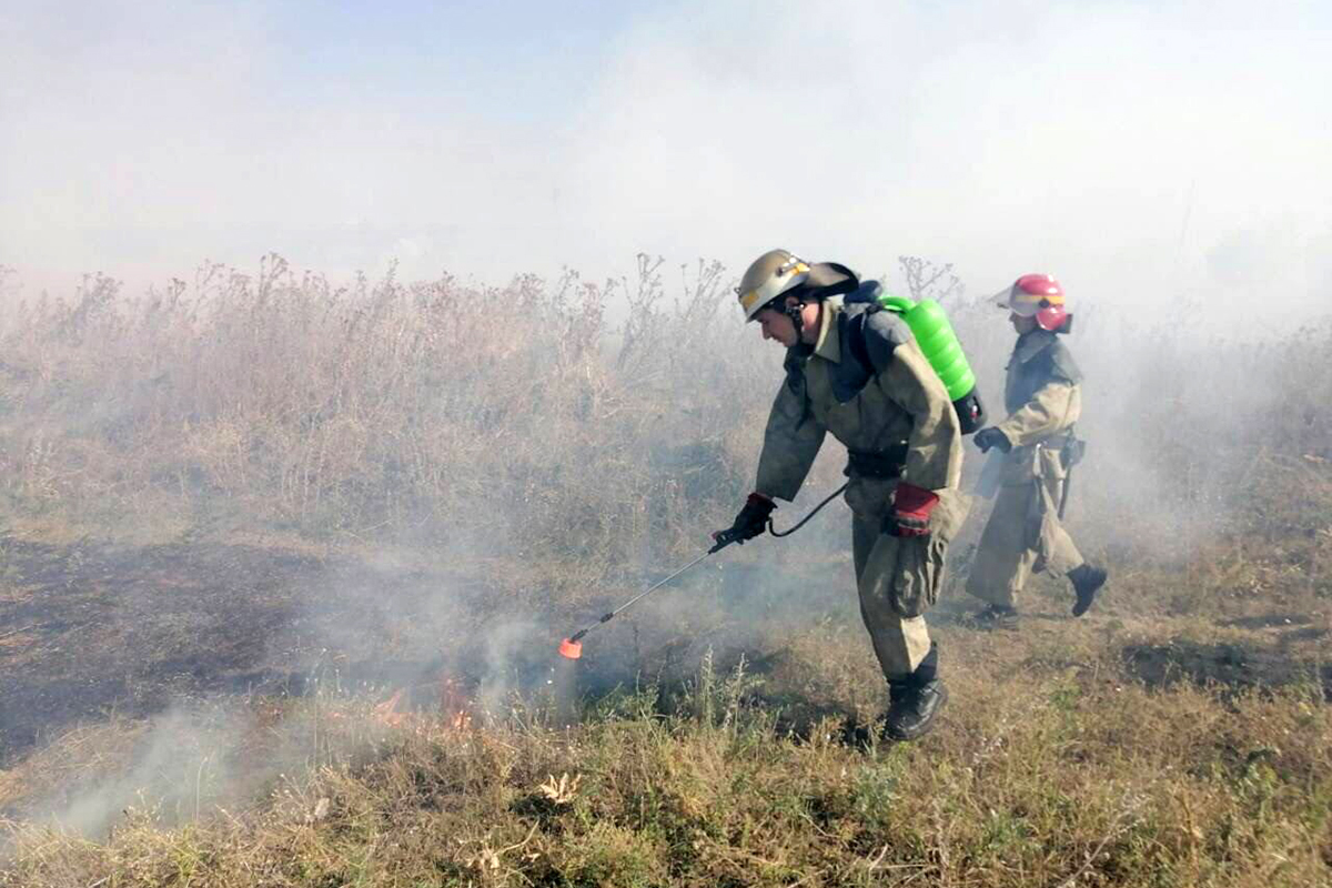Возле Никополе выгорело 2 гектара травы