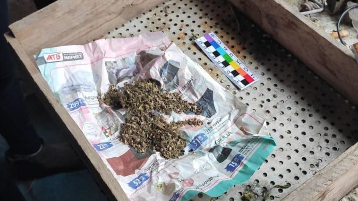 Собака у Покрові знайшла наркотики