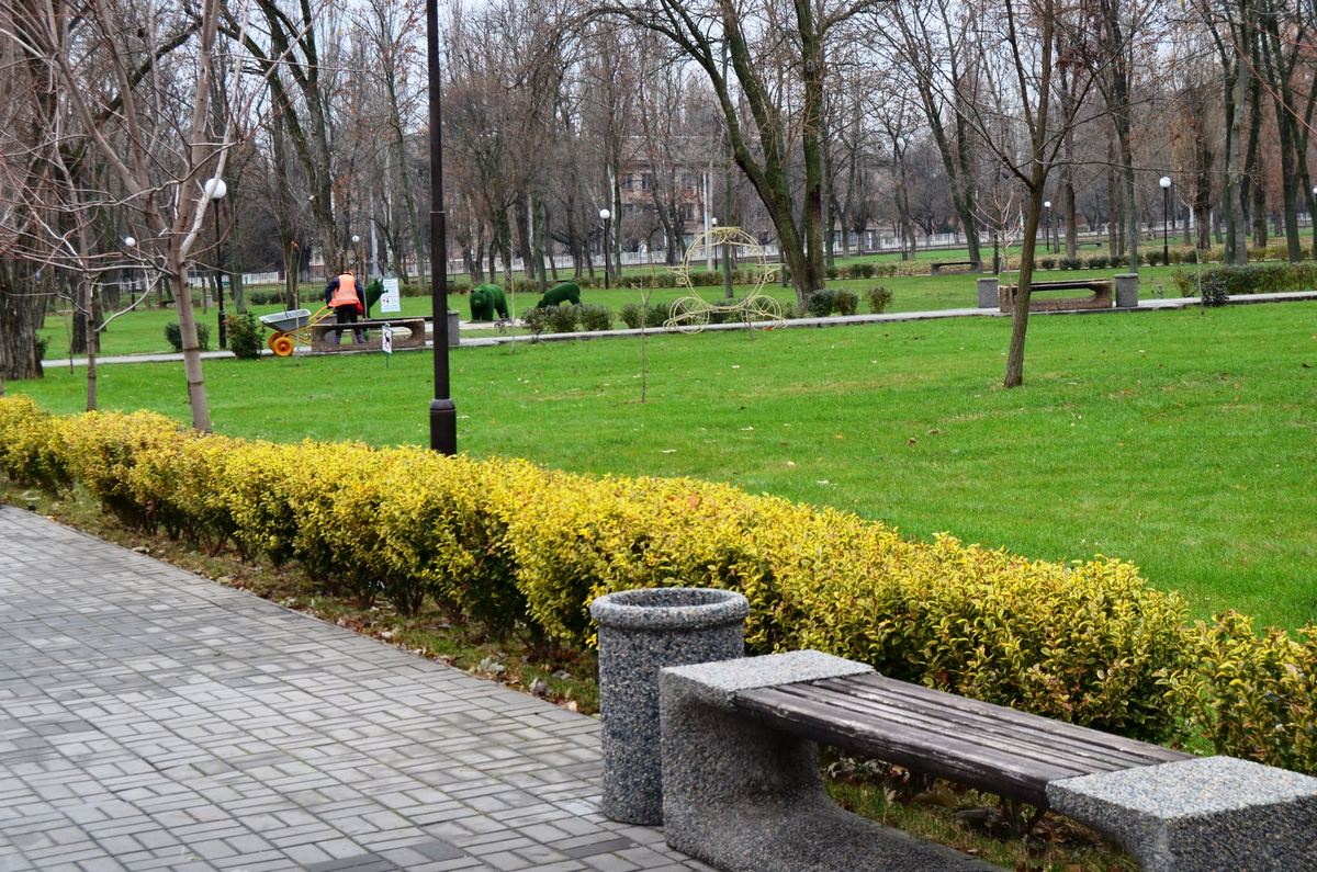 Как выглядит центральный парк Покрова в первые дни зимы
