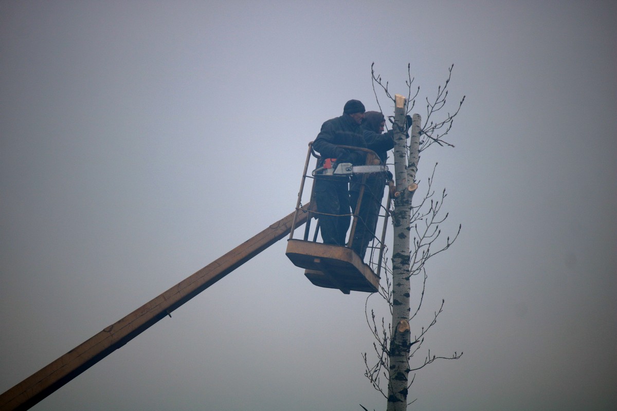 В Никополе на улице Филиппа Орлика обрезают деревья
