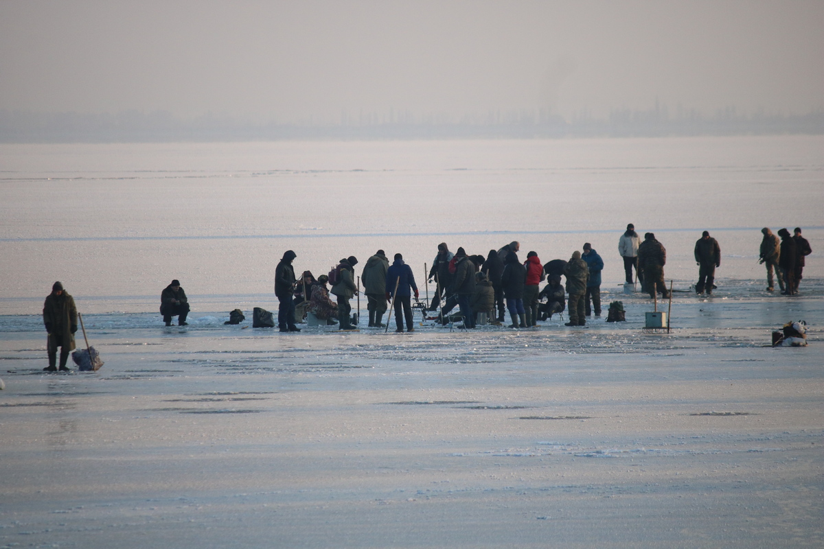Много рыбаков сегодня вышло на лед