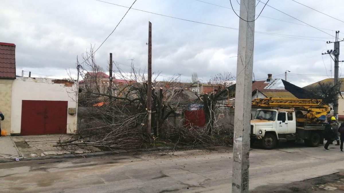Плановая обрезка деревьев на улице Шевченко 