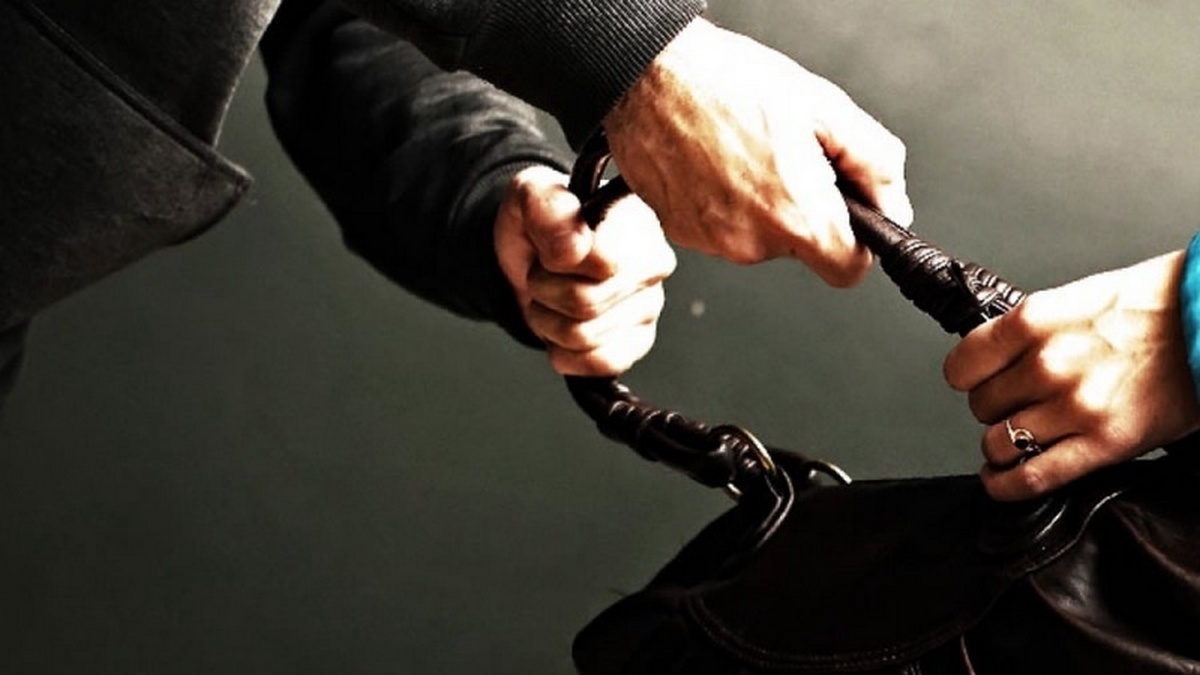 В Никополе 59-летний мужчина похитил сумку у прохожего, фото-1