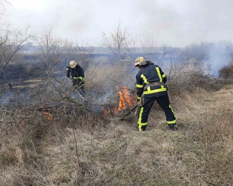 Спасатели призывают граждан отказаться от сжигания сухой травы