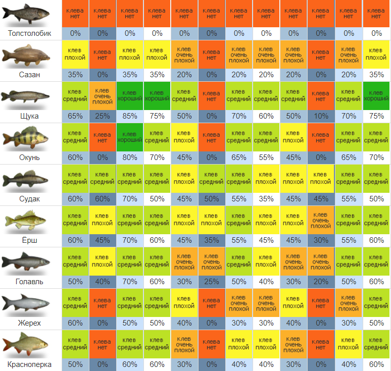 Календарь клева рыбы на 2024г