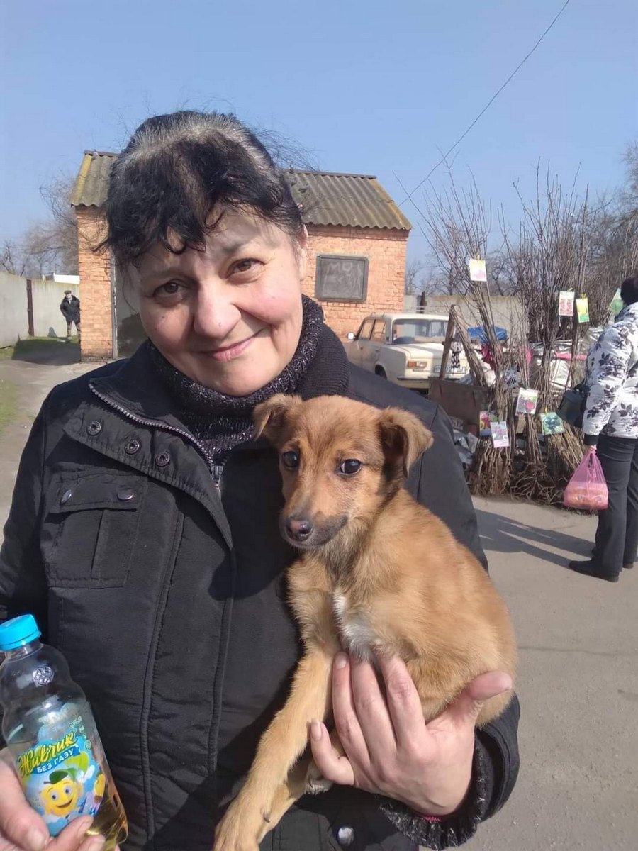 В Никополе волонтеры спасают щенка