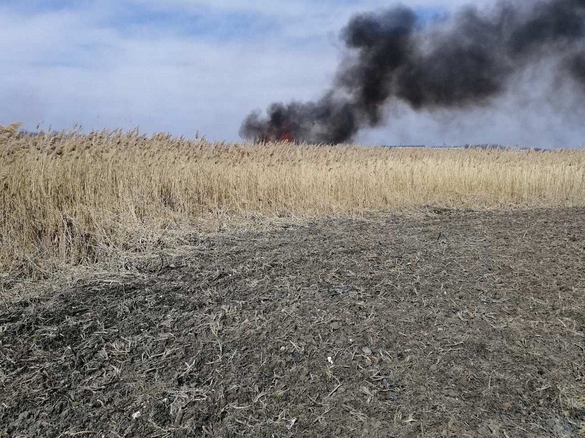 За пределами села Новоивановка загорелся камыш